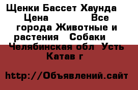 Щенки Бассет Хаунда  › Цена ­ 25 000 - Все города Животные и растения » Собаки   . Челябинская обл.,Усть-Катав г.